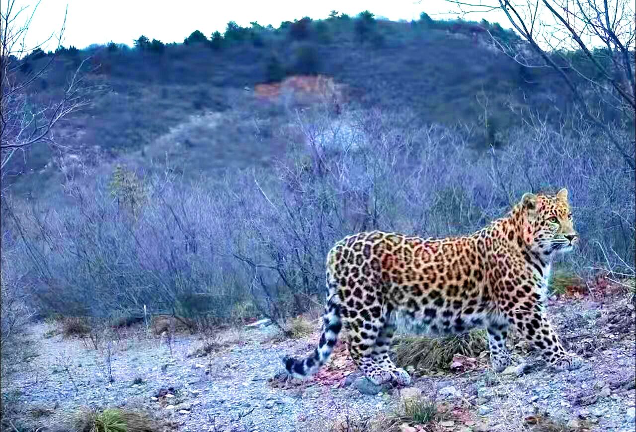 A׬F(xin)ϲۿh״ĵAӰ